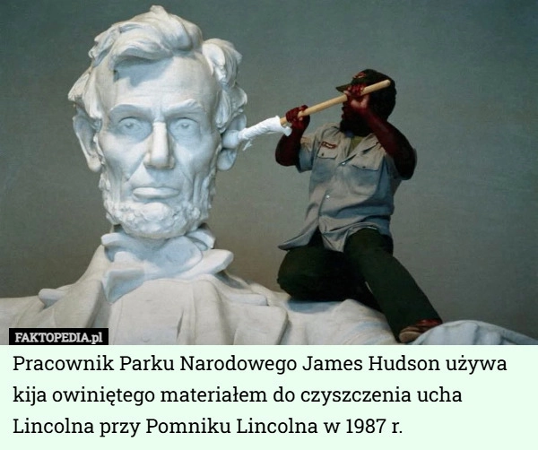 
    Pracownik Parku Narodowego James Hudson używa kija owiniętego materiałem...