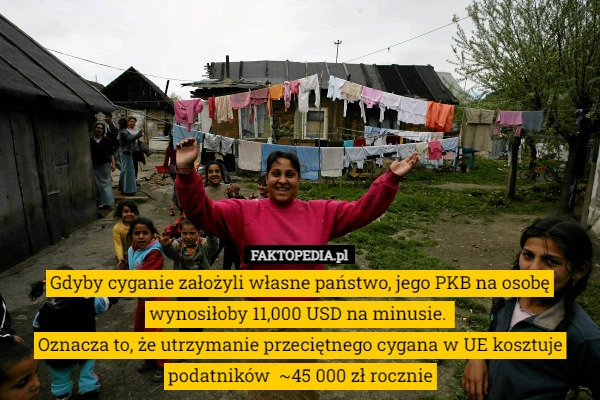 
    Gdyby cyganie założyli własne państwo, jego PKB na osobę wynosiłoby 11,000