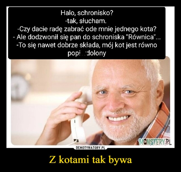 
    Z kotami tak bywa