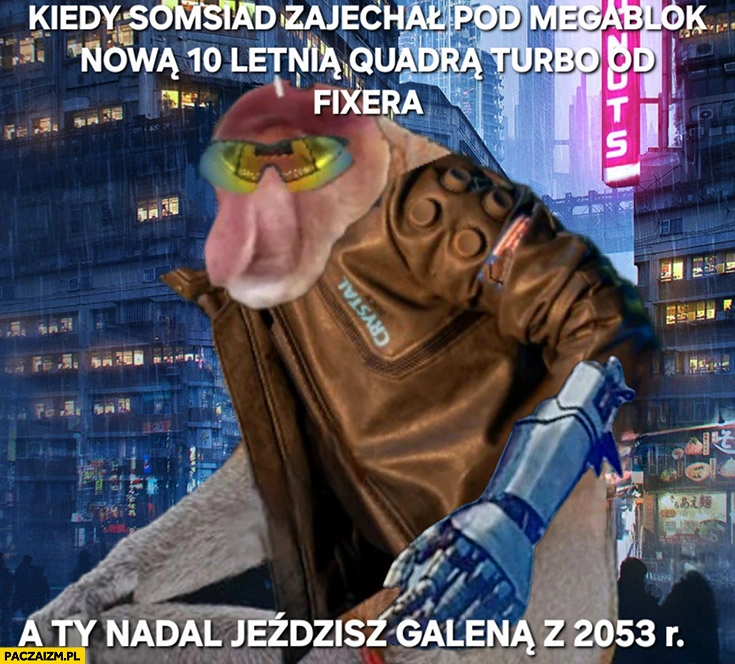 
    Kiedy somsiad zajechał pod megablok nowa 10 letnia Quadra turbo od Fixera a ty nadal jeździsz Galeną z 2053 roku polak nosacz małpa cyberpunk 2077