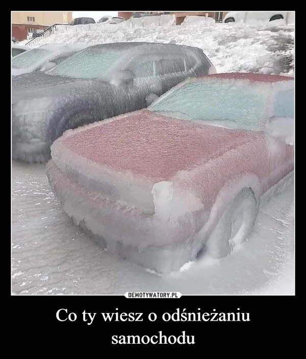 
    
Co ty wiesz o odśnieżaniu samochodu 