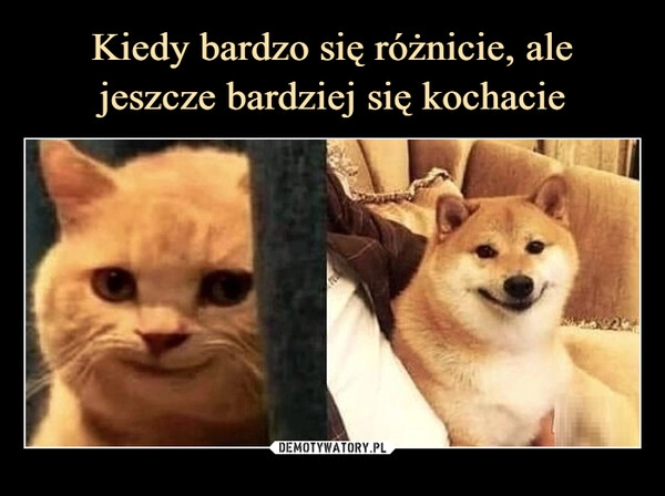 
    Kiedy bardzo się różnicie, ale jeszcze bardziej się kochacie