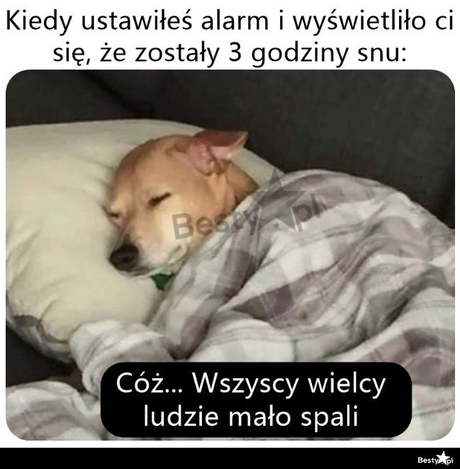 
    Zawsze to jakieś pocieszenie 