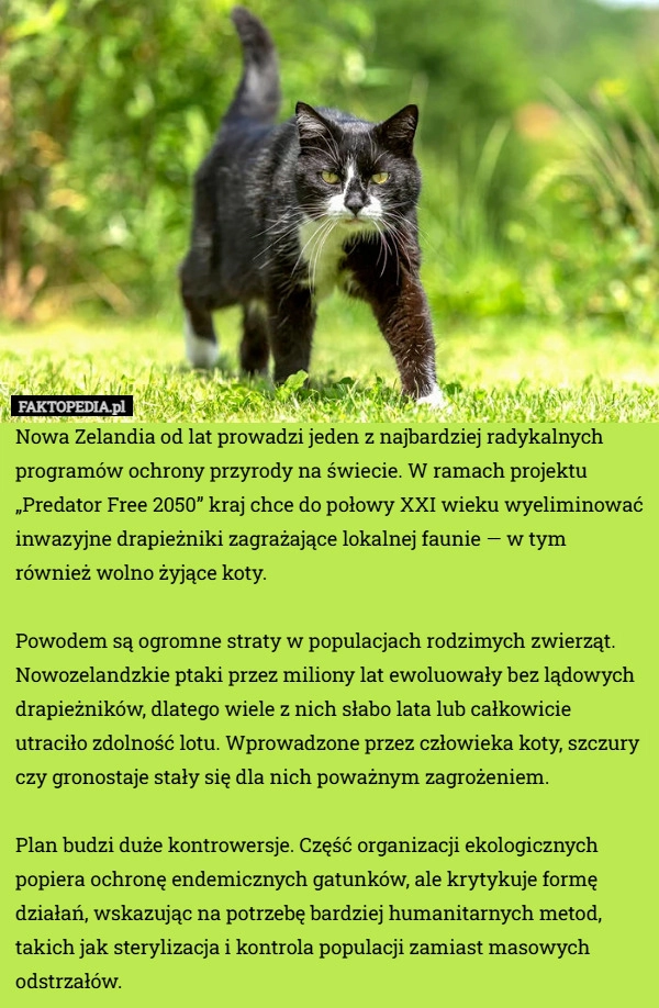 
    Nowa Zelandia od lat prowadzi jeden z najbardziej radykalnych programów