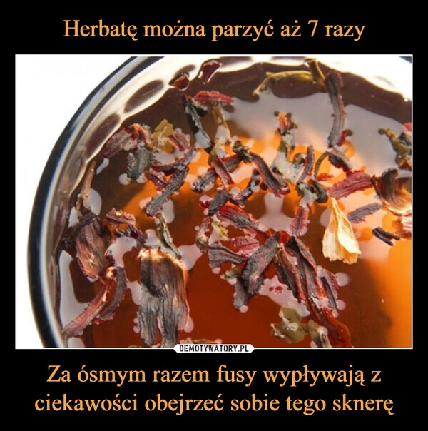 
    Herbatę można parzyć aż 7 razy Za ósmym razem fusy wypływają z ciekawości obejrzeć sobie tego sknerę