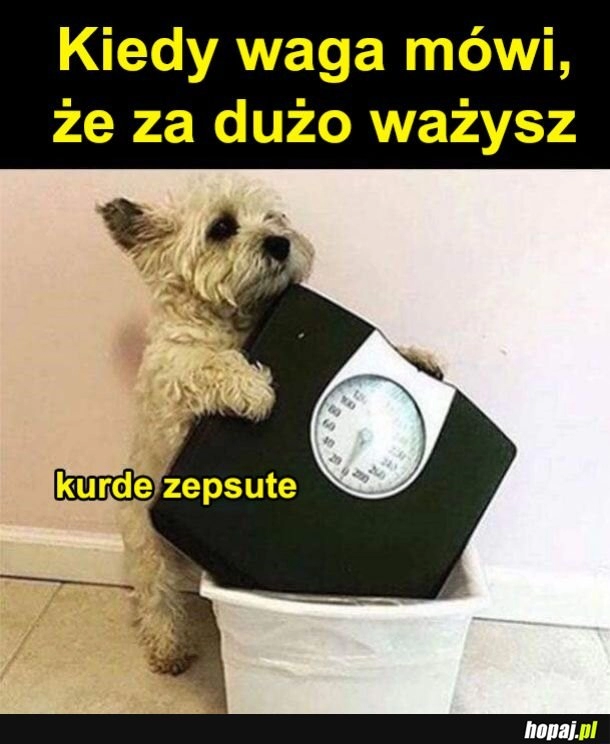 
    Nie działa