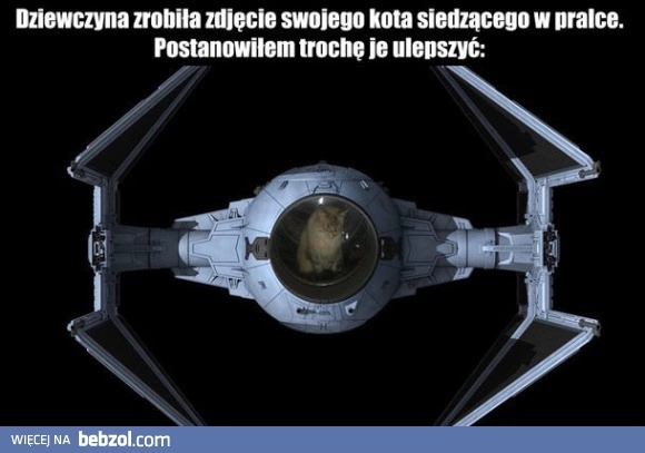 
    Kreatywność internetów