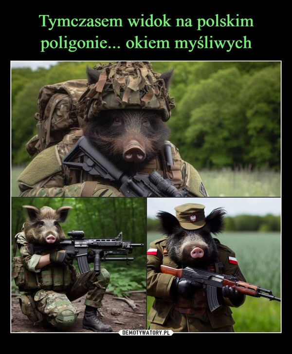 
    Tymczasem widok na polskim poligonie... okiem myśliwych