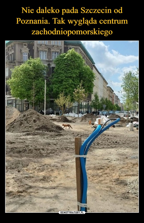 
    Nie daleko pada Szczecin od Poznania. Tak wygląda centrum zachodniopomorskiego