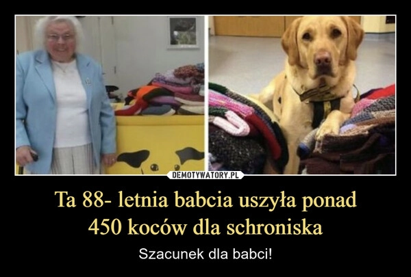
    Ta 88- letnia babcia uszyła ponad
450 koców dla schroniska