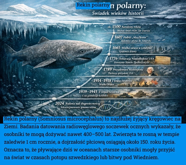 
    Rekin polarny (Somniosus microcephalus) to najdłużej żyjący kręgowiec na