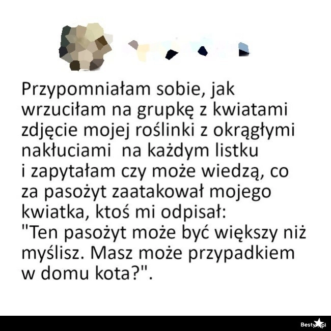 
    Dziwny pasożyt 