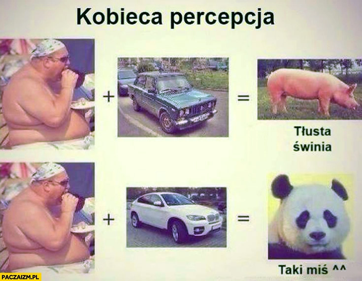 Kobieca percepcja grubas BMW taki miś tłusta świnia