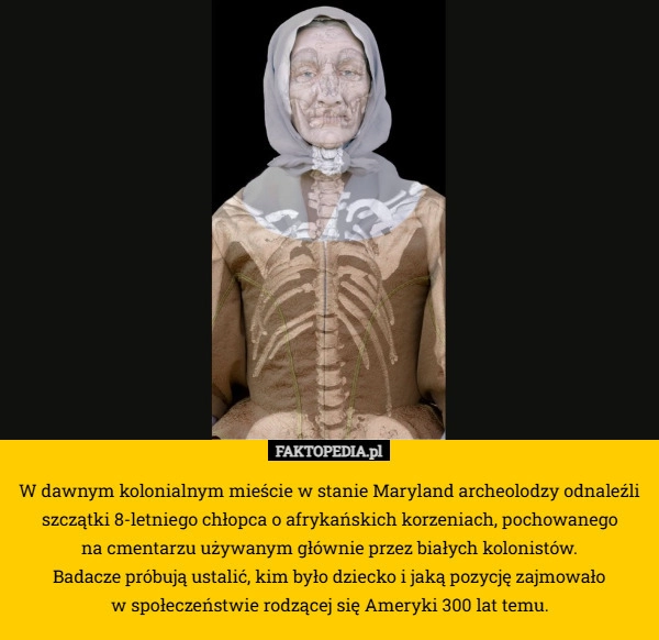 
    W dawnym kolonialnym mieście w stanie Maryland archeolodzy odnaleźli szczątki