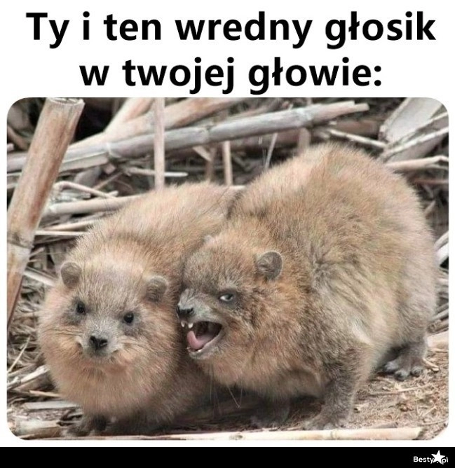 
    Wredny głosik w głowie 