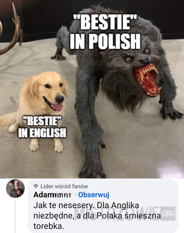 
    Angielski