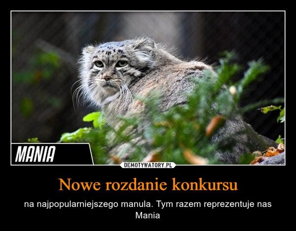 
    Nowe rozdanie konkursu