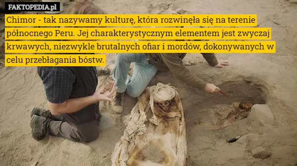 
    
			Chimor - tak nazywamy kulturę, która rozwinęła się na terenie północnego					