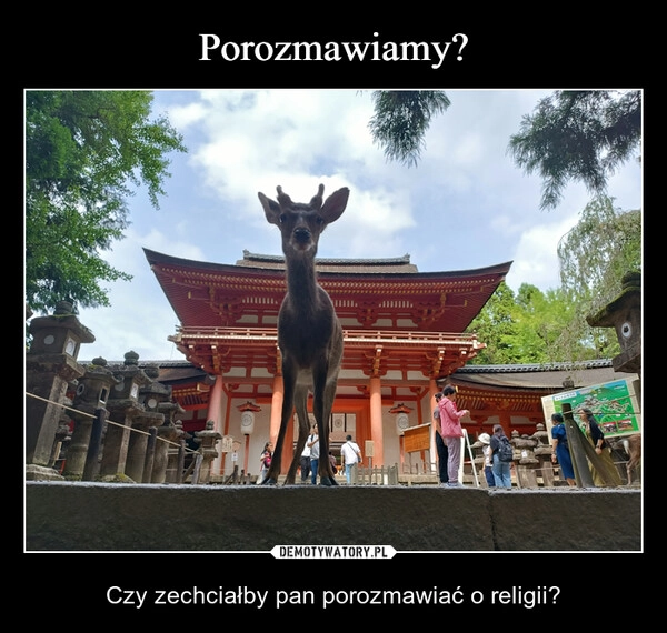 
    Porozmawiamy?