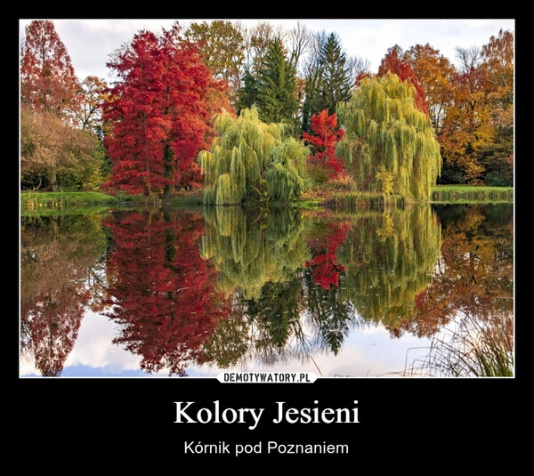 
    Kolory Jesieni