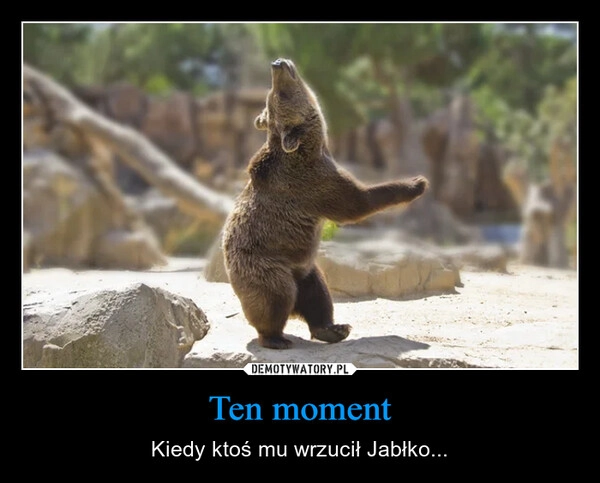 
    Ten moment