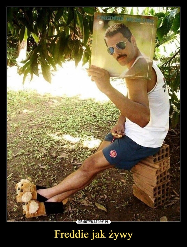 
    Freddie jak żywy