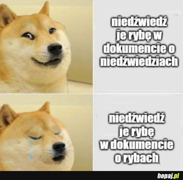 
    Punkt widzenia