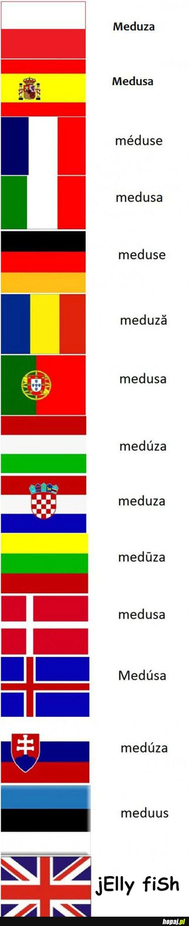 
    To nawet nie jest ryba