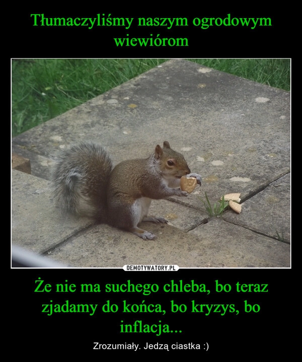 
    Tłumaczyliśmy naszym ogrodowym wiewiórom Że nie ma suchego chleba, bo teraz zjadamy do końca, bo kryzys, bo inflacja...