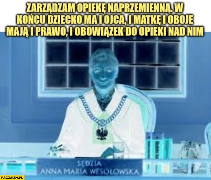 
    Evil sędzia zarządzam opiekę naprzemienna w końcu dziecko ma i ojca i matkę oboje maja prawo i obowiązek opieki