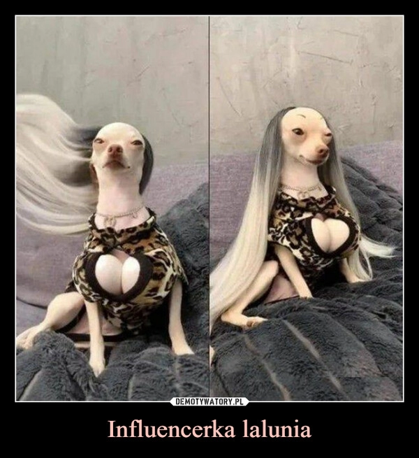 
    Influencerka lalunia