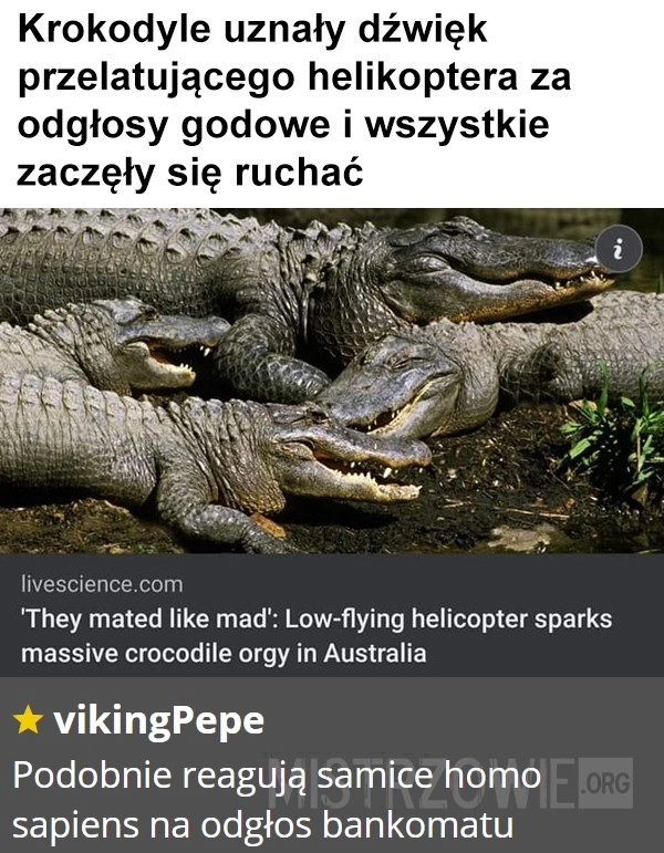 
    Krokodyle