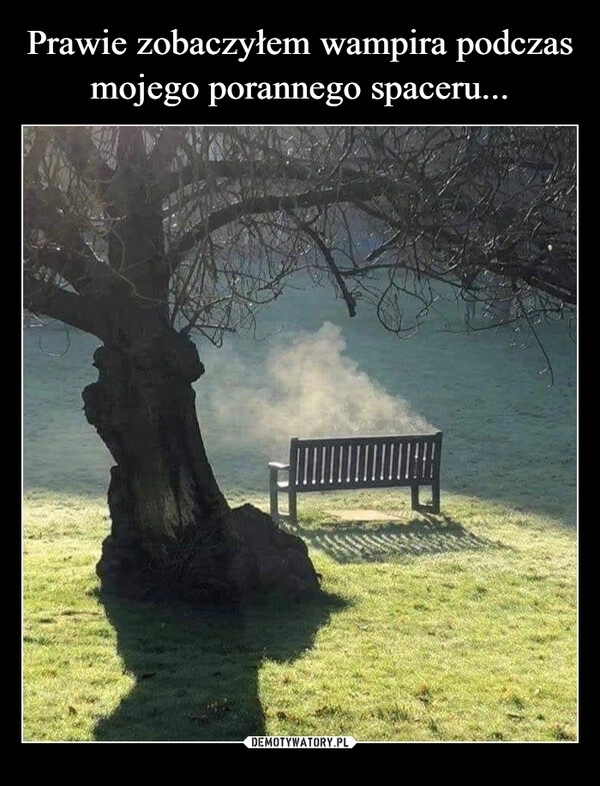 
    Prawie zobaczyłem wampira podczas mojego porannego spaceru...