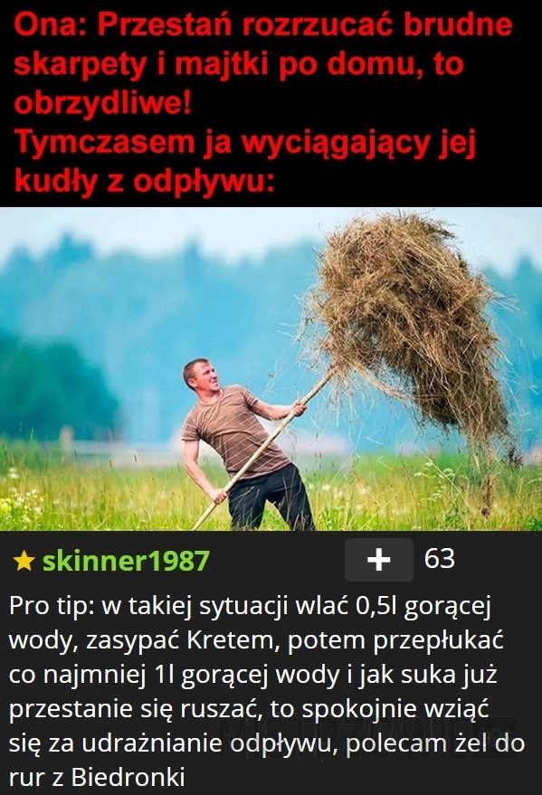 
    Kudły