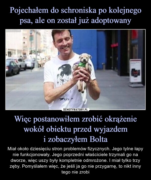 
    Pojechałem do schroniska po kolejnego psa, ale on został już adoptowany Więc postanowiłem zrobić okrążenie wokół obiektu przed wyjazdem
i zobaczyłem Bolta