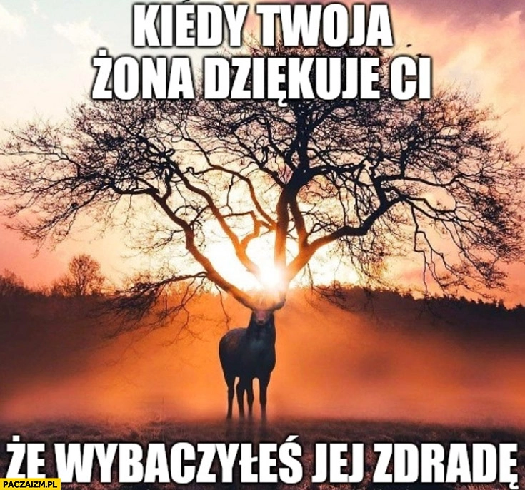
    Kiedy Twoja żona dziękuje Ci że wybaczyłeś jej zdradę rogi