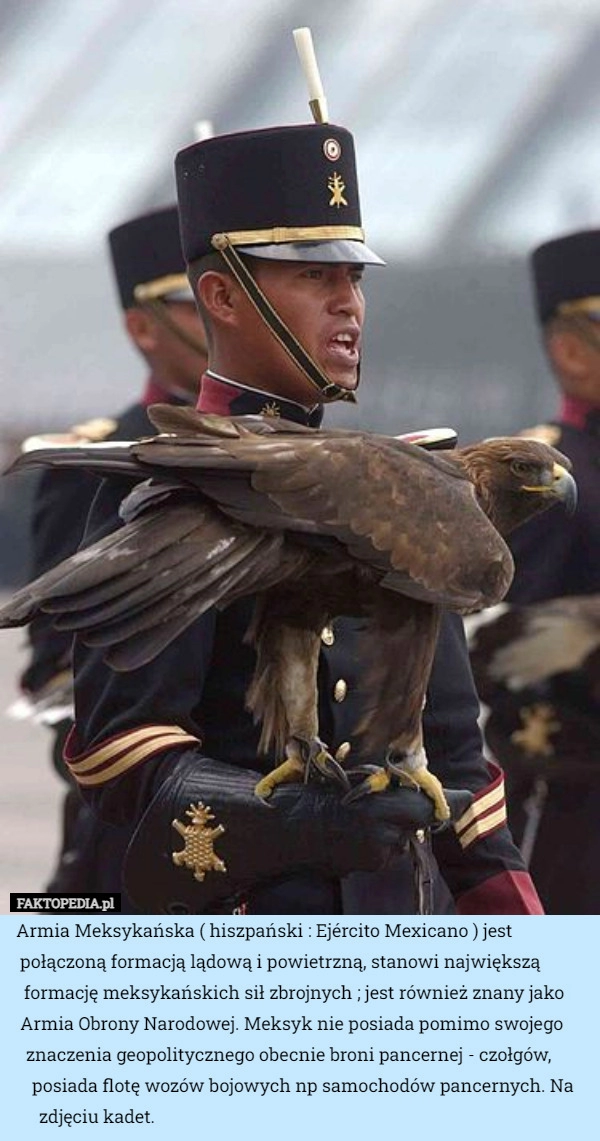 
    Armia Meksykańska ( hiszpański : Ejército Mexicano ) jest połączoną formacją