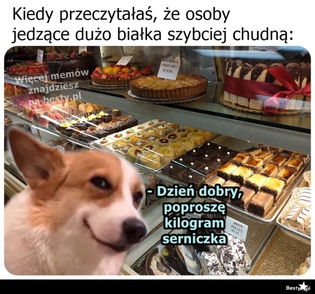 
    Białko to białko 