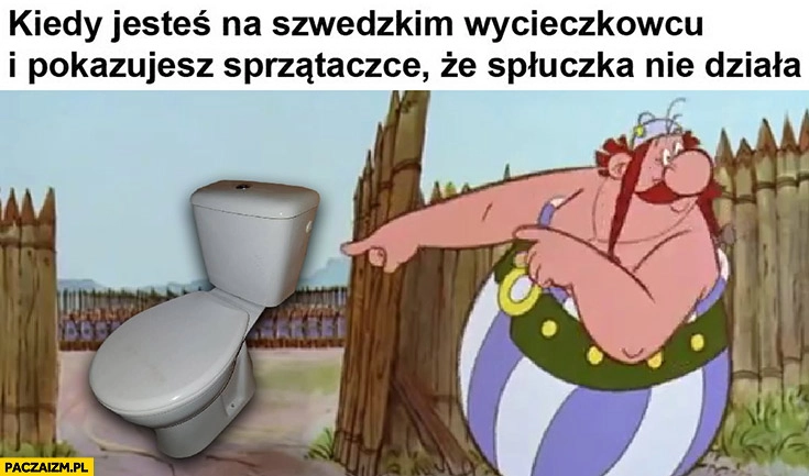 
    Kiedy jesteś na szwedzkim wycieczkowcu i pokazujesz sprzątaczce, że spłuczka nie działa Obelix