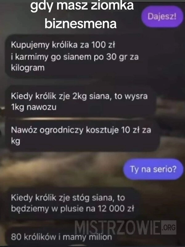 
    Ziomek królik nawóz milion biznes siano