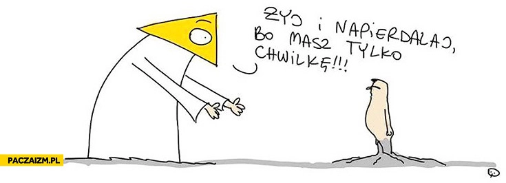 
    Żyj i napierdalaj bo masz tylko chwilkę