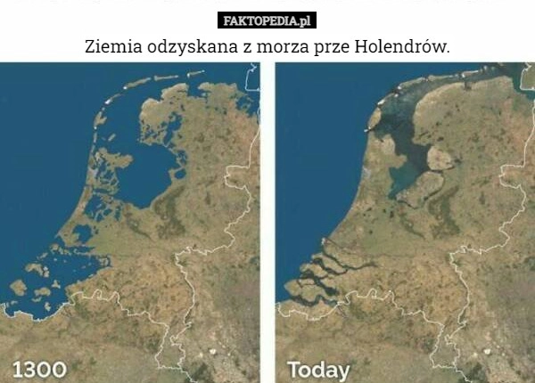 
    Ziemia odzyskana z morza prze Holendrów.