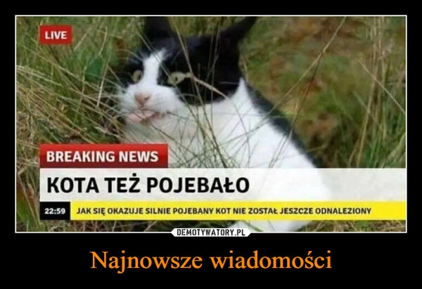 
    Najnowsze wiadomości