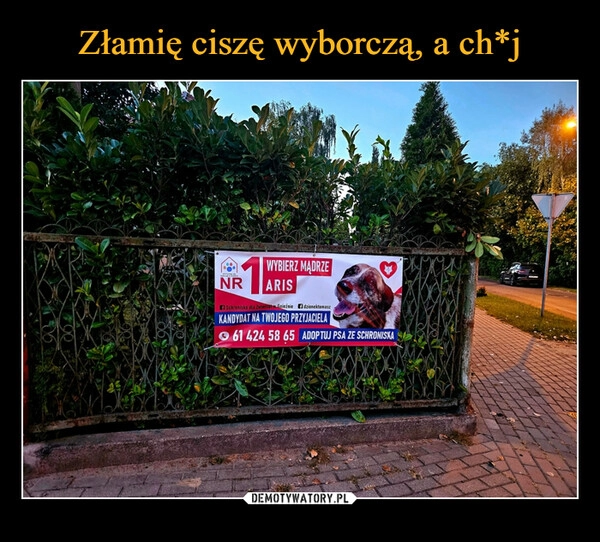 
    Złamię ciszę wyborczą, a ch*j