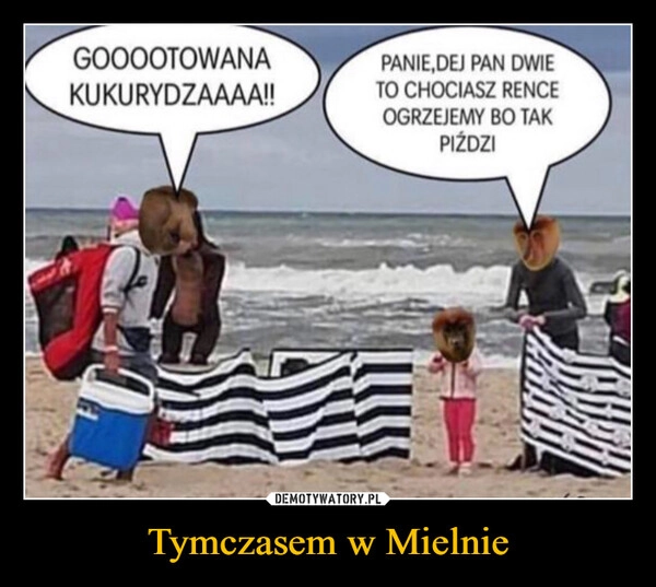
    Tymczasem w Mielnie