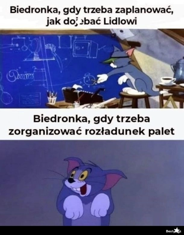 
    Biedronka 