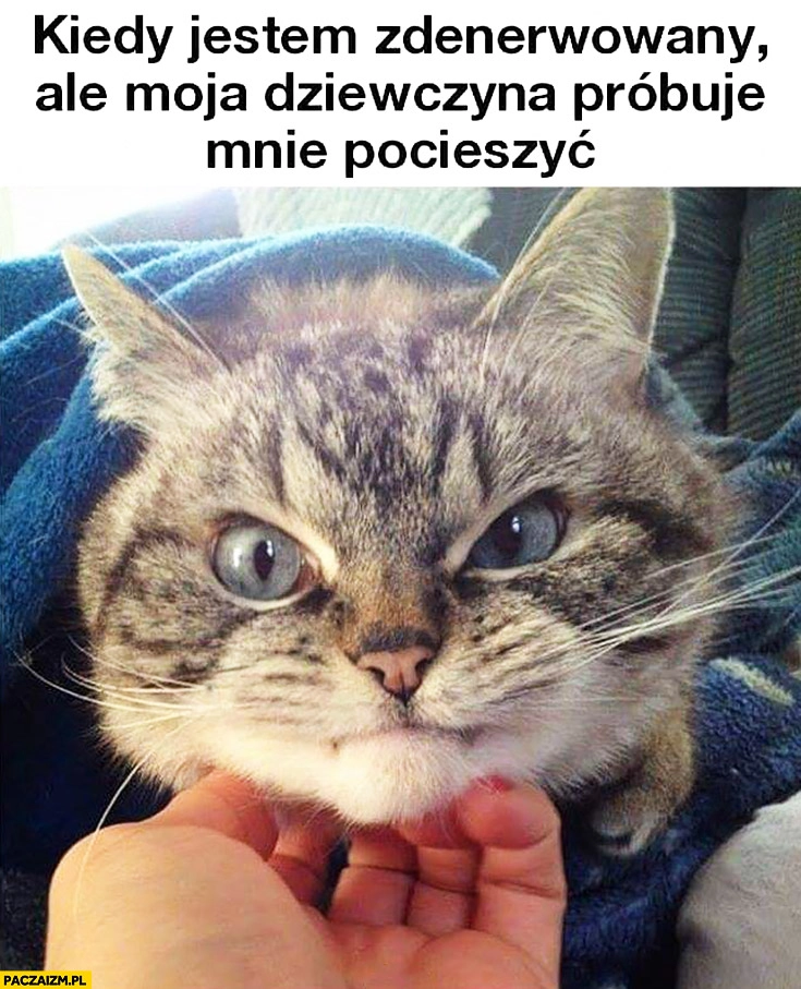 
    Kiedy jestem zdenerwowany ale moja dziewczyna próbuje mnie pocieszać zły kot