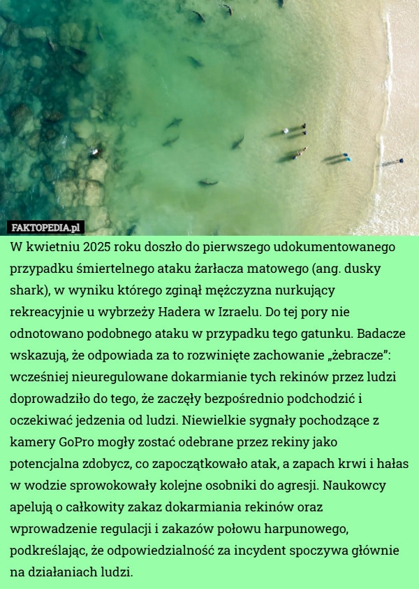 
    W kwietniu 2025 roku doszło do pierwszego udokumentowanego przypadku śmiertelnego