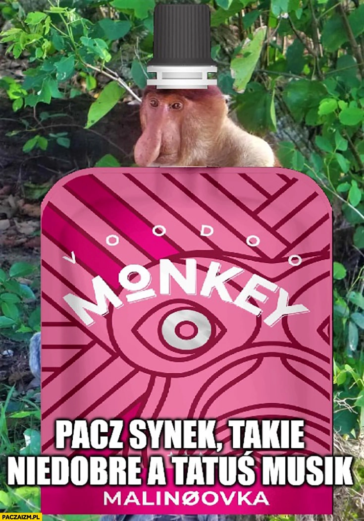 
    Alkotubki monkey patrz synek takie niedobre a tatuś musi