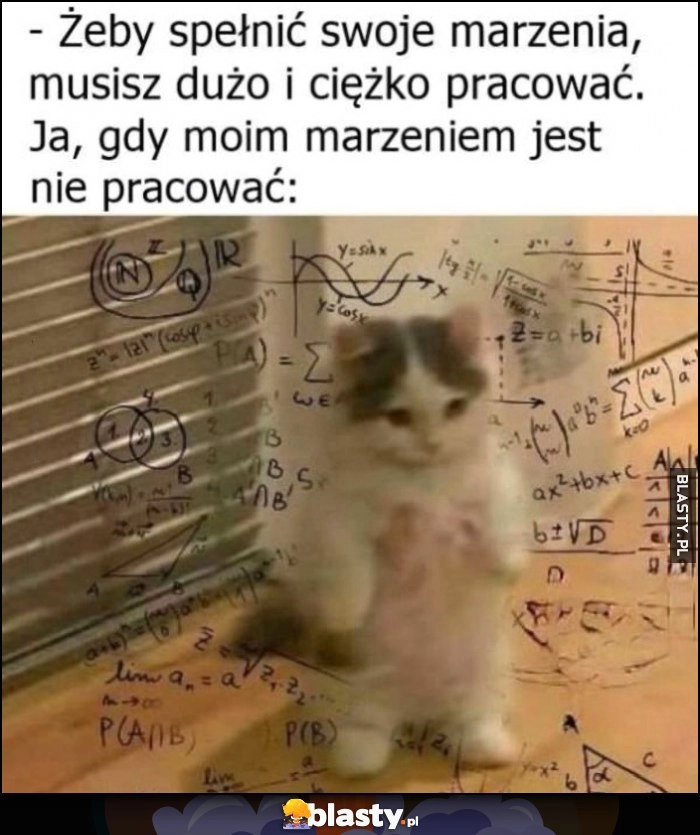 
    Żeby spełnić swoje marzenia musisz dużo i ciężko pracować. Ja, gdy moim marzeniem jest nie pracować kot kotek